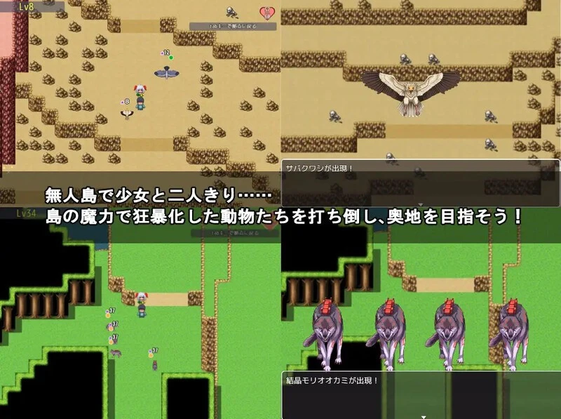 预览图 1