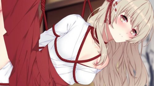 【PC/SLG】Love Shoot 官方中文版