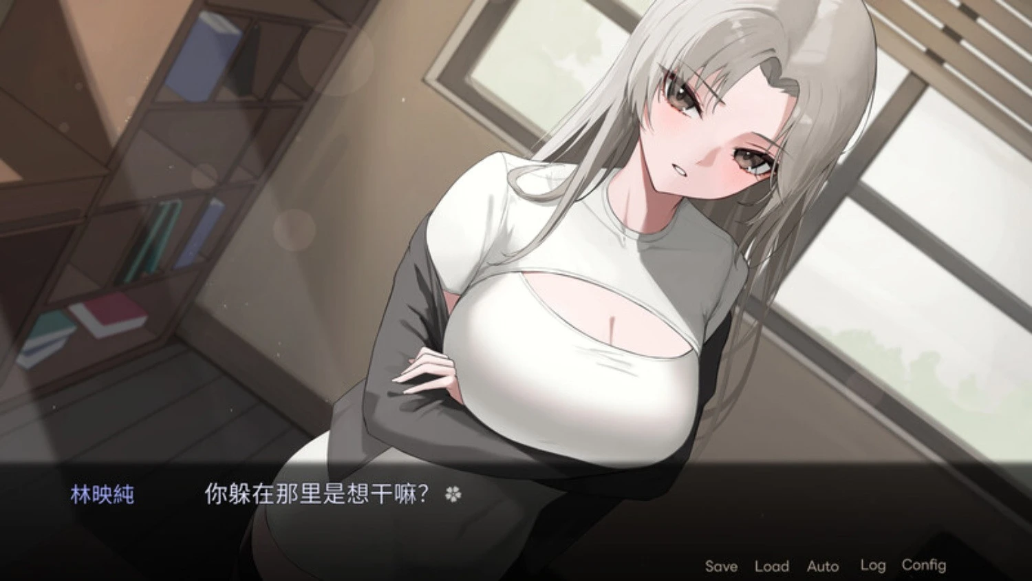 预览图 5