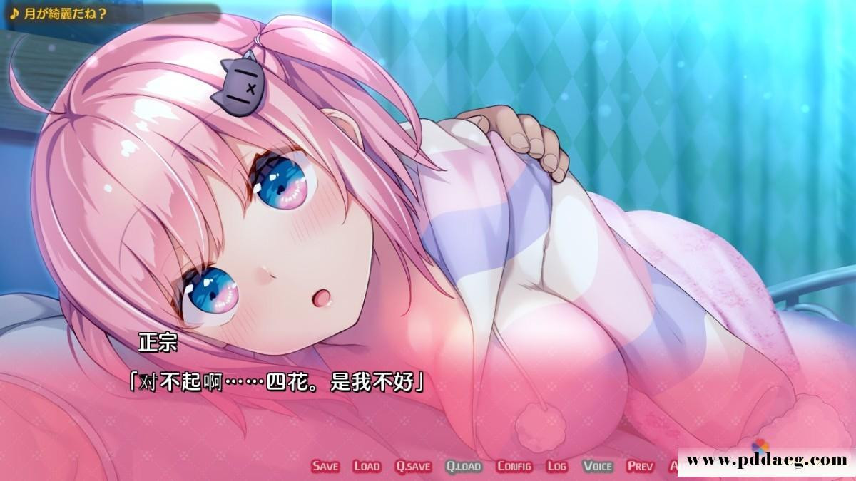 预览图 0